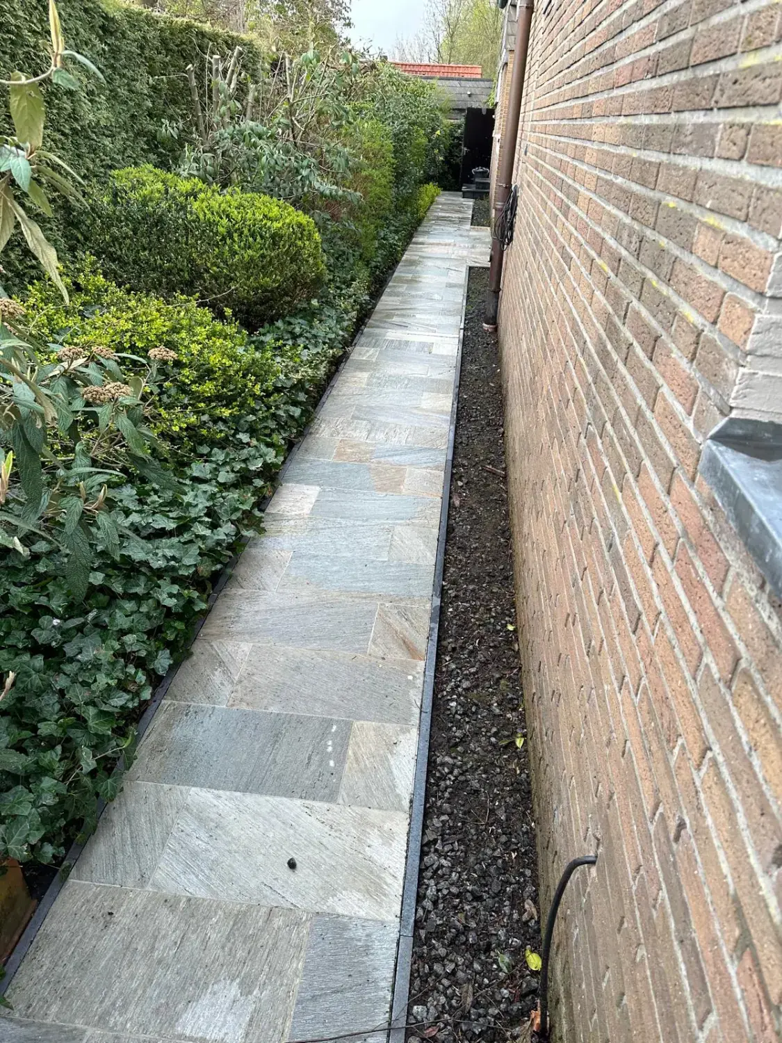 Hausmeisterdienst und Reinigungsarbeiten - Hinterhofreinigung